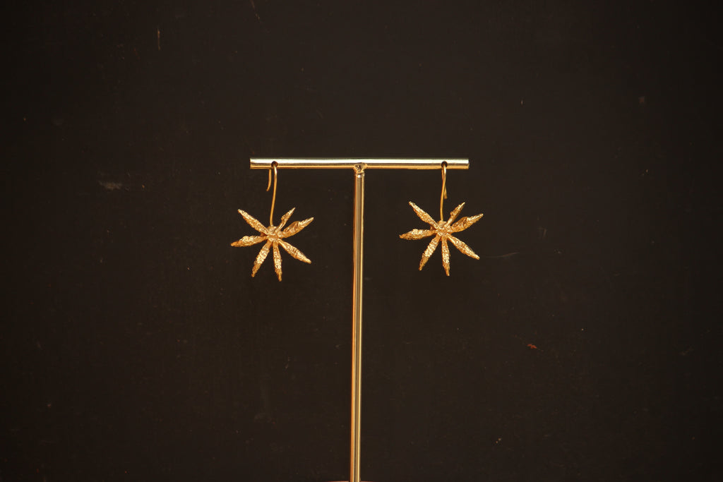 Star Anise Loops