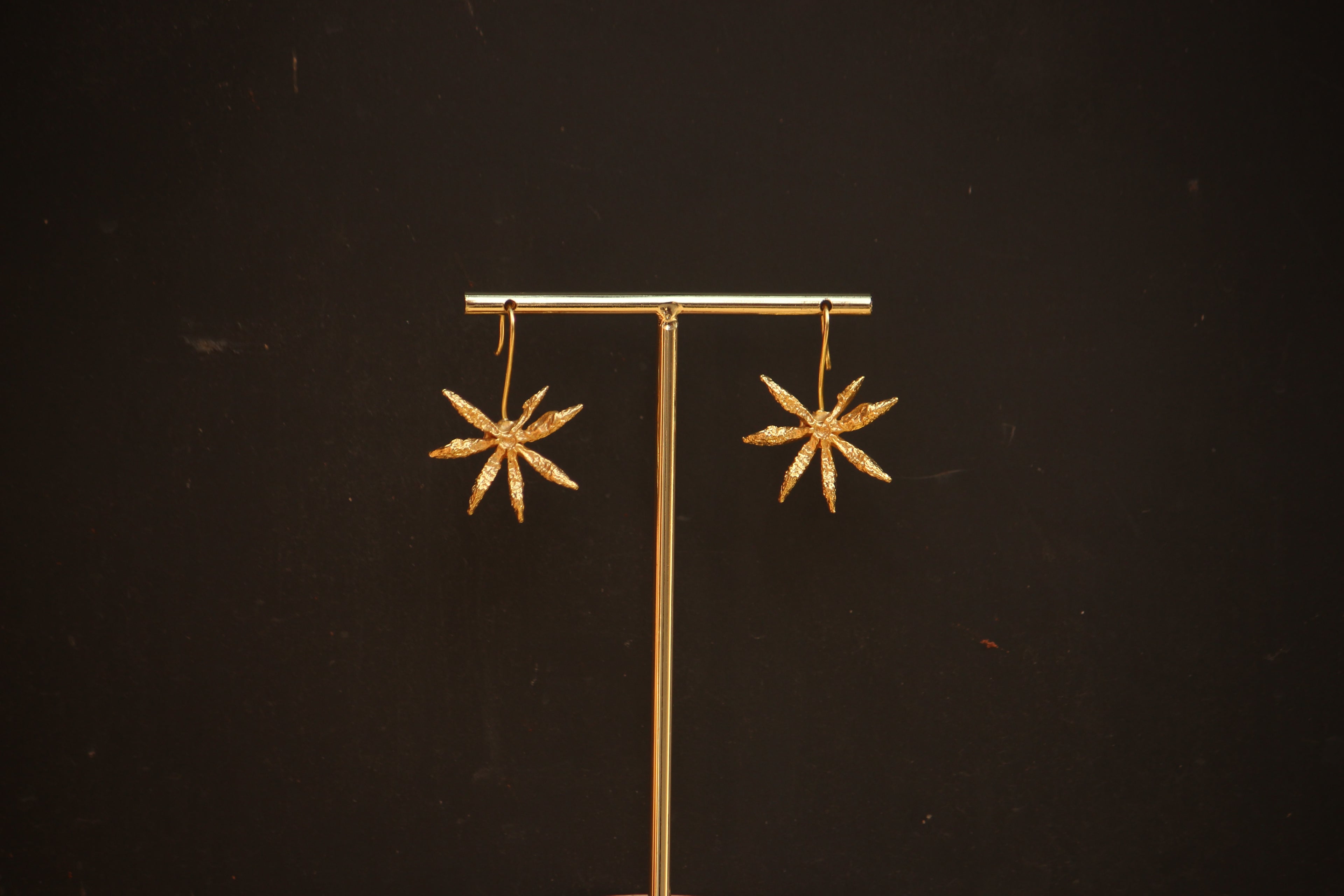 Star Anise Loops